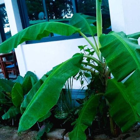 Bungalow Ramena Beach Antsiranana Andjamen المظهر الخارجي الصورة
