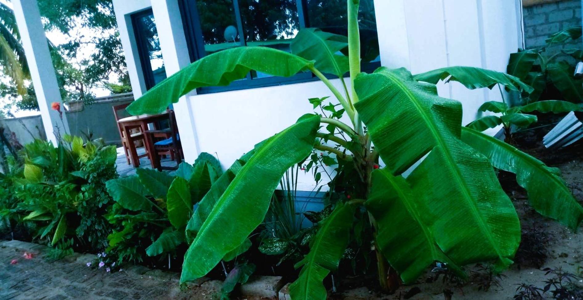 Bungalow Ramena Beach Antsiranana Andjamen المظهر الخارجي الصورة