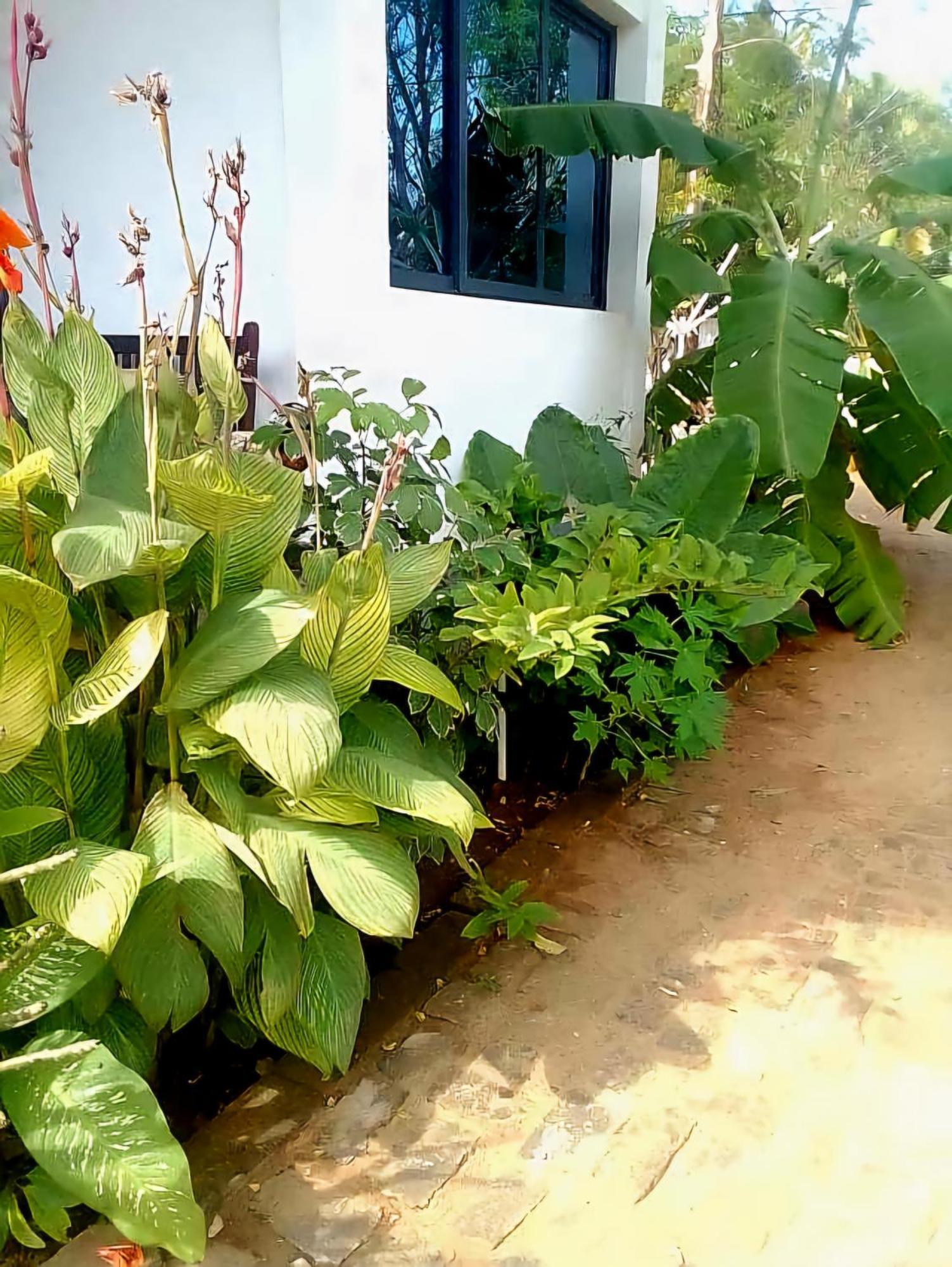 Bungalow Ramena Beach Antsiranana Andjamen المظهر الخارجي الصورة